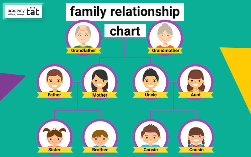لیست اعضای خانواده و روابط خویشاوندی به انگلیسی
