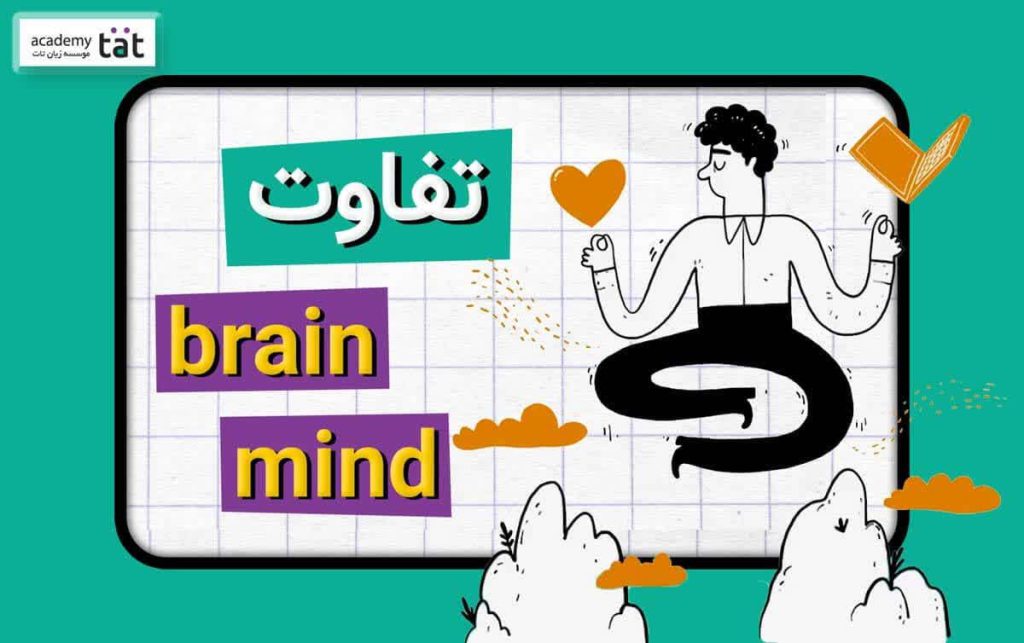 تفاوت های brain و mind در انگلیسی